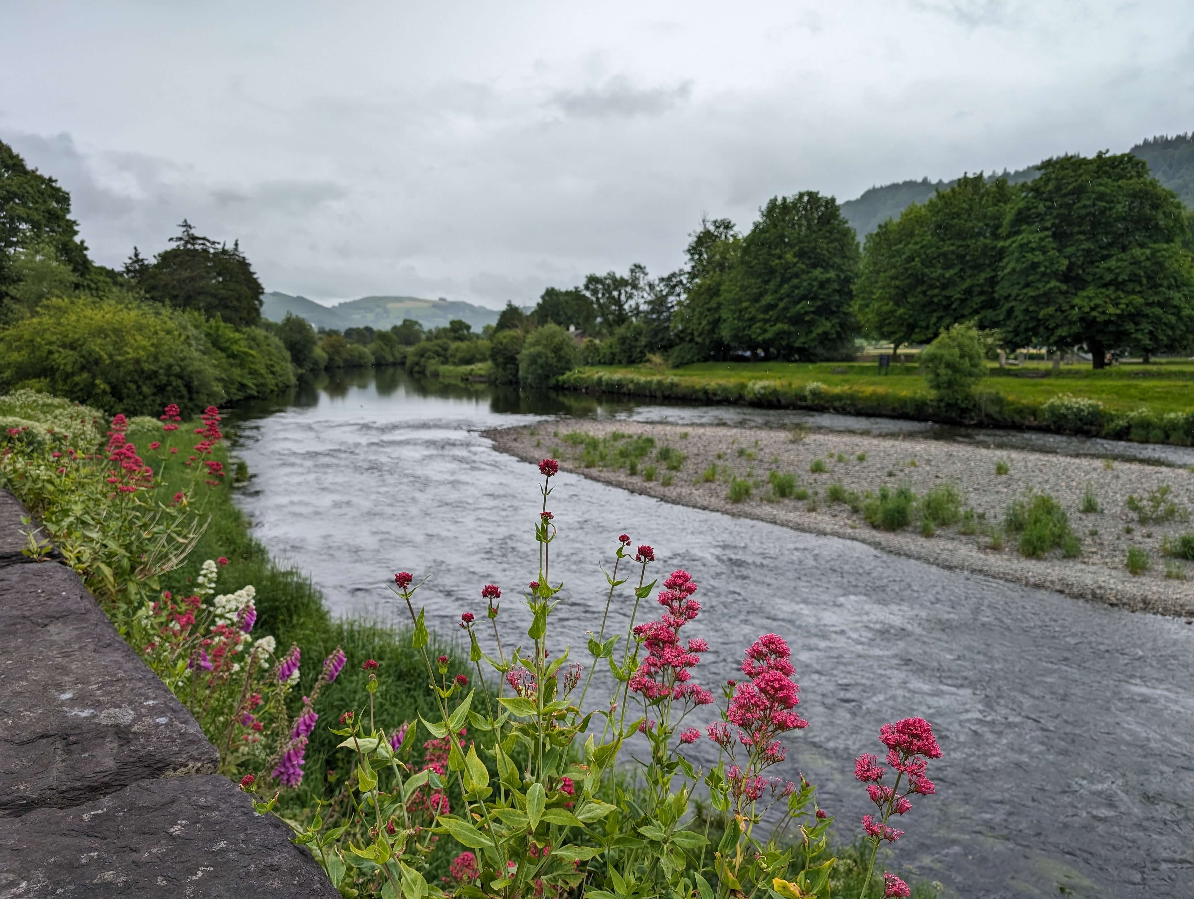 photo focal point is a narrow river with central sandbar, flowers in foreground along the river are dark pink and white, trees along riverside and hills in background